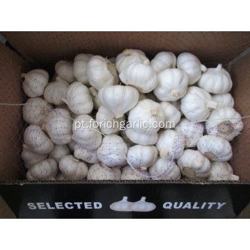Crop 2020 Pure Garlic